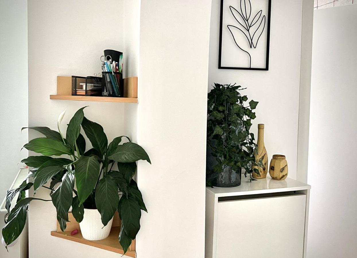 Travellers Apartment คลูจ-นาโปกา ภายนอก รูปภาพ
